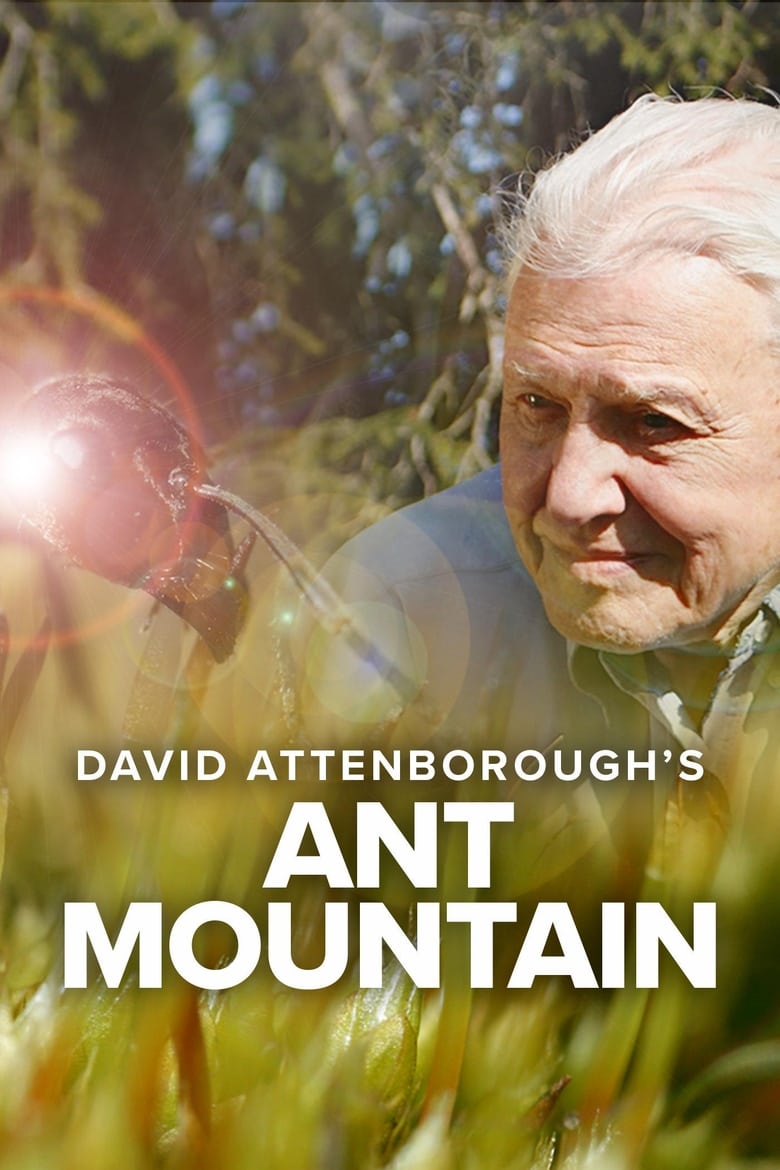 David Attenborough’s Ant Mountain