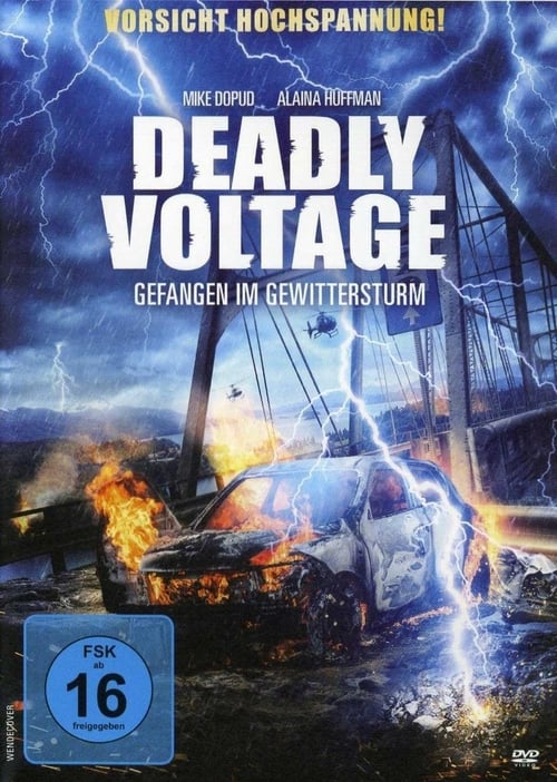 Deadly Voltage