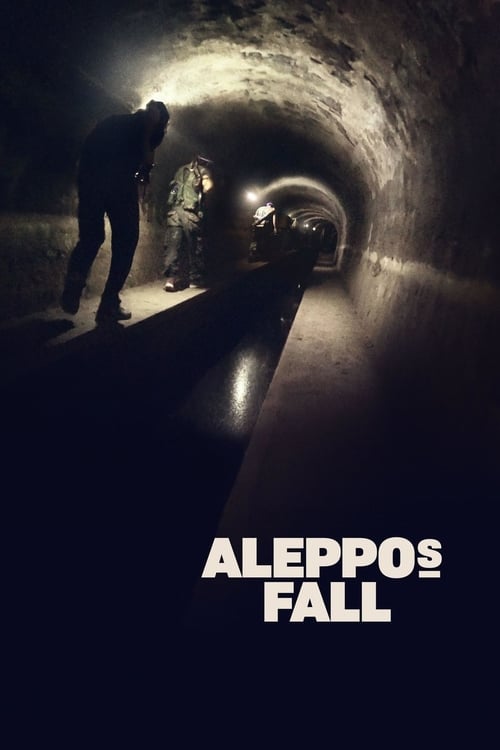 Aleppos fall
