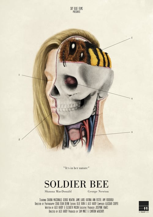Soldier Bee