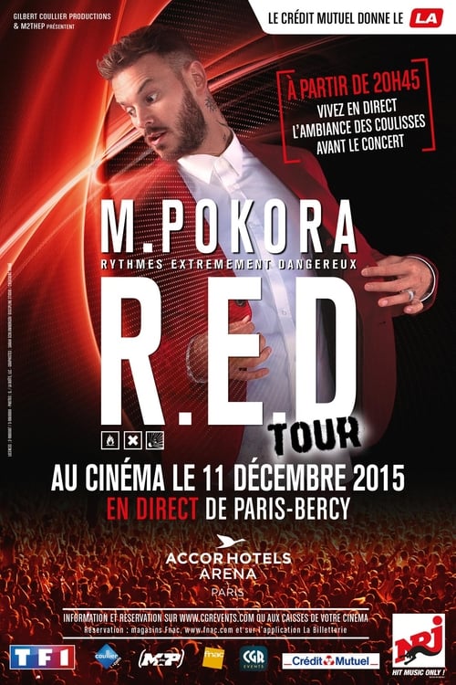 Matt Pokora : RED Tour