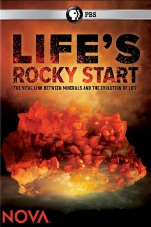 Life’s Rocky Start