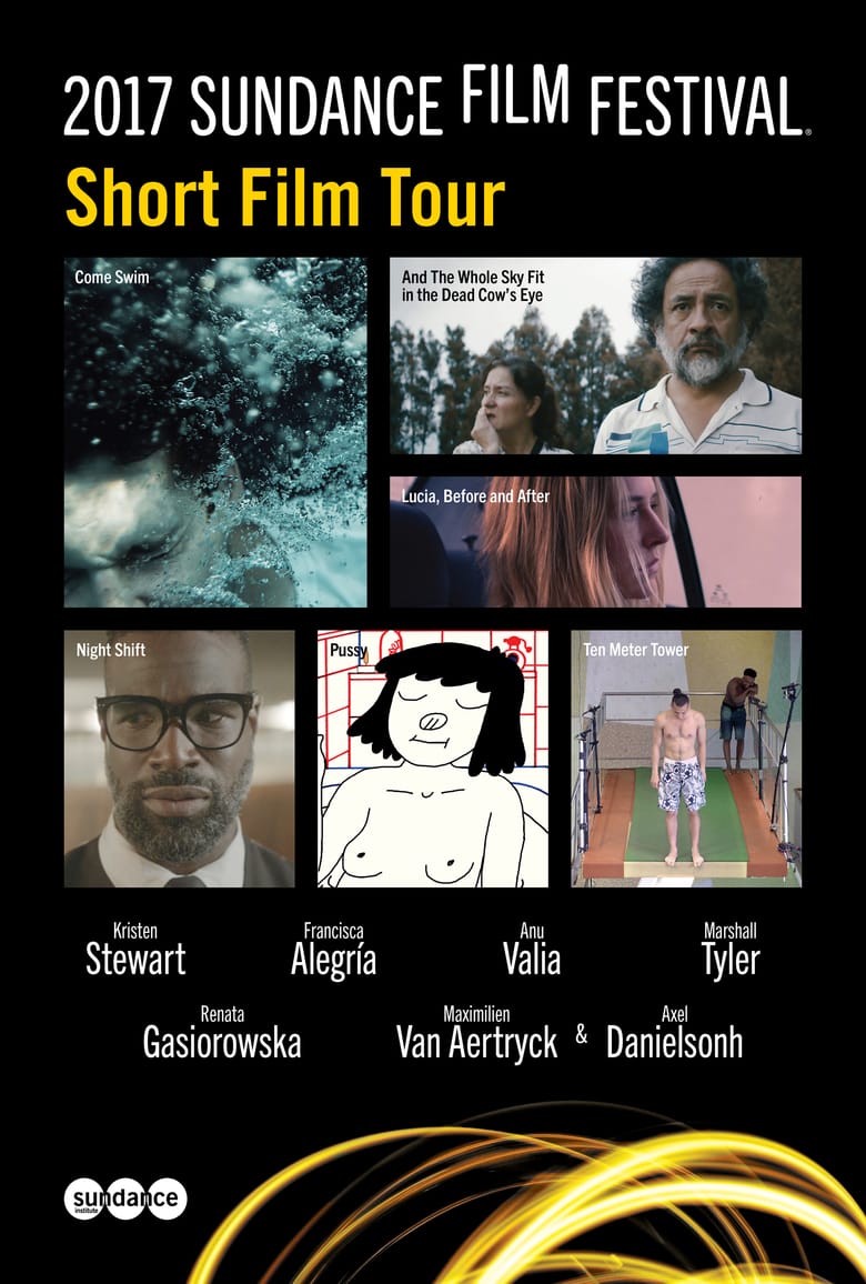 2017 Sundance Film Festival Short Film Tour