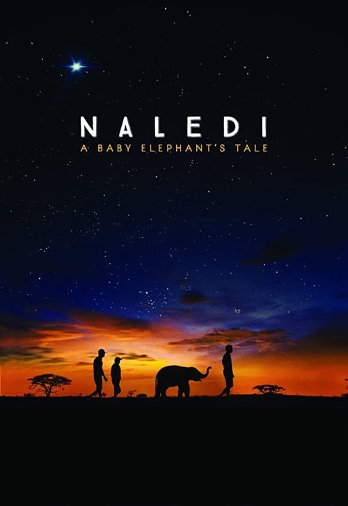 Naledi: A Baby Elephant’s Tale