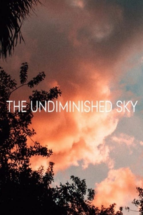 The Undiminished Sky